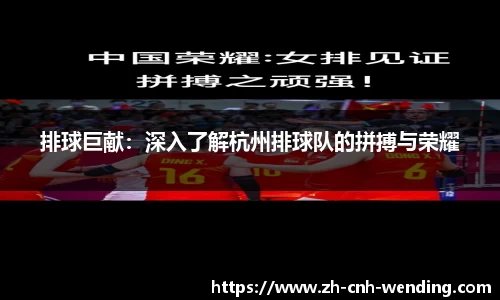 排球巨献：深入了解杭州排球队的拼搏与荣耀